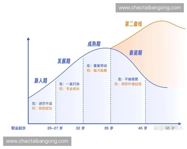 以峰值阶段为中心的系统演化特征与风险机遇综合研究分析框架探讨